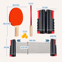 NetFlex Table Tennis Setâ„¢